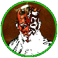 Darth Maul